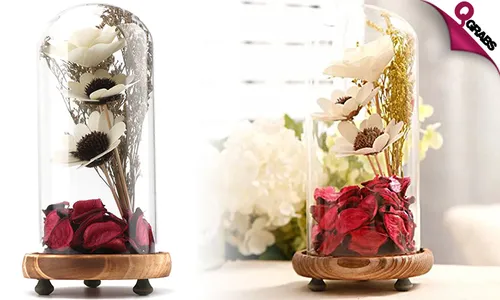 Flower Enclosed Glass Domes!